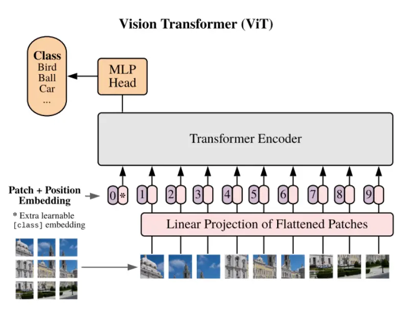 Building And Training A Transformer From Scratch-20240629175837724.webp